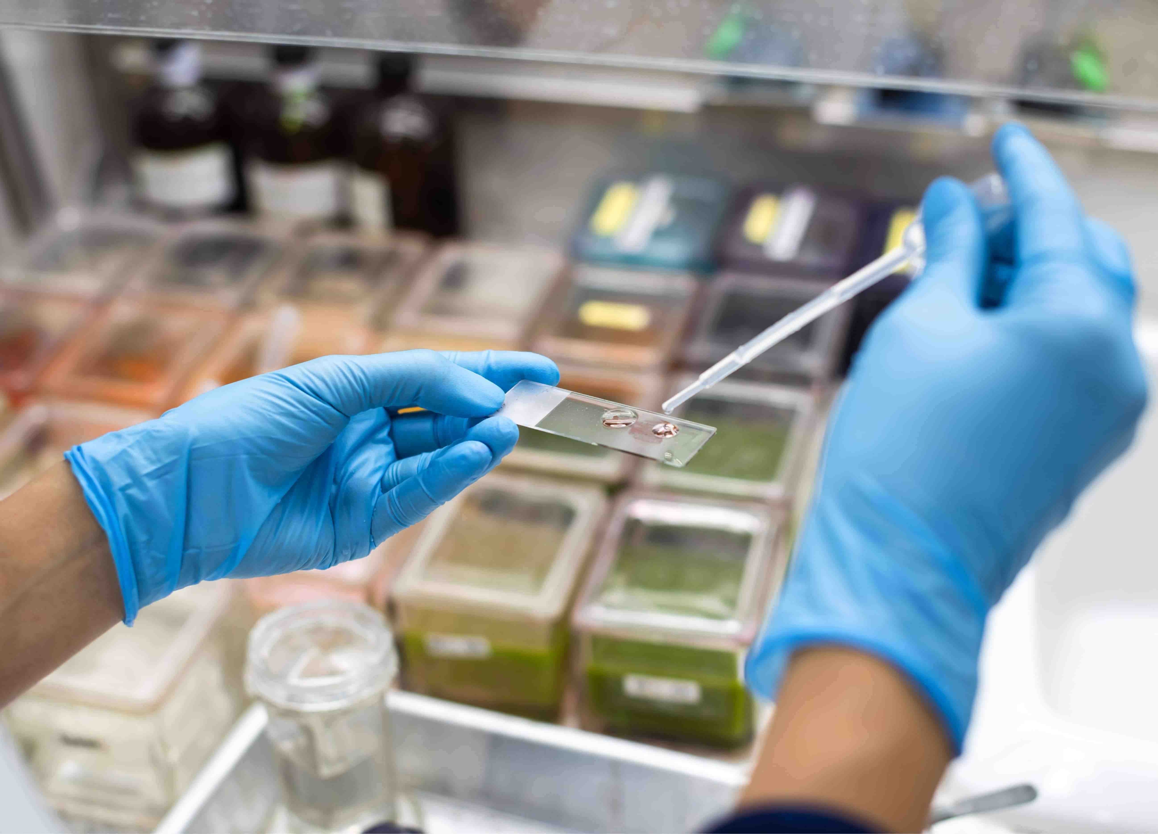 Life sciences and healthcare Van Lanschot Kempen
